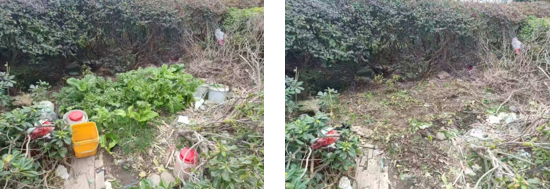 0307_142520829_825.png image.png