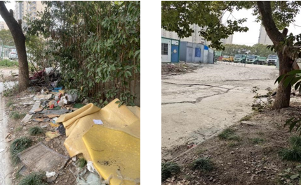 0307_142442153_265.png image.png