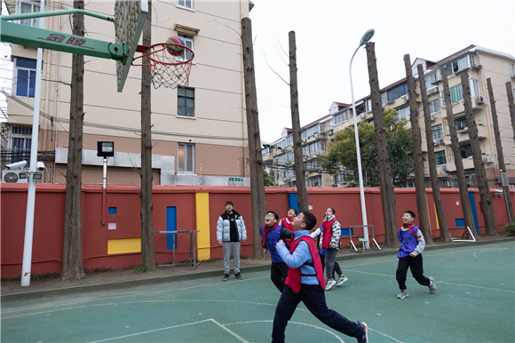 WDCM上传图片 WDCM上传图片