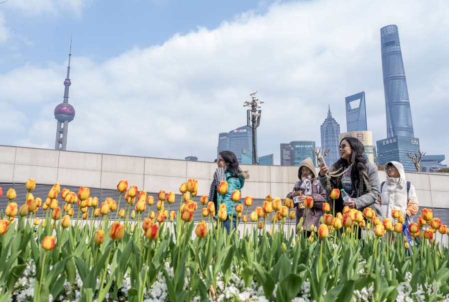 解放日报 孟雨涵 摄20250311_34