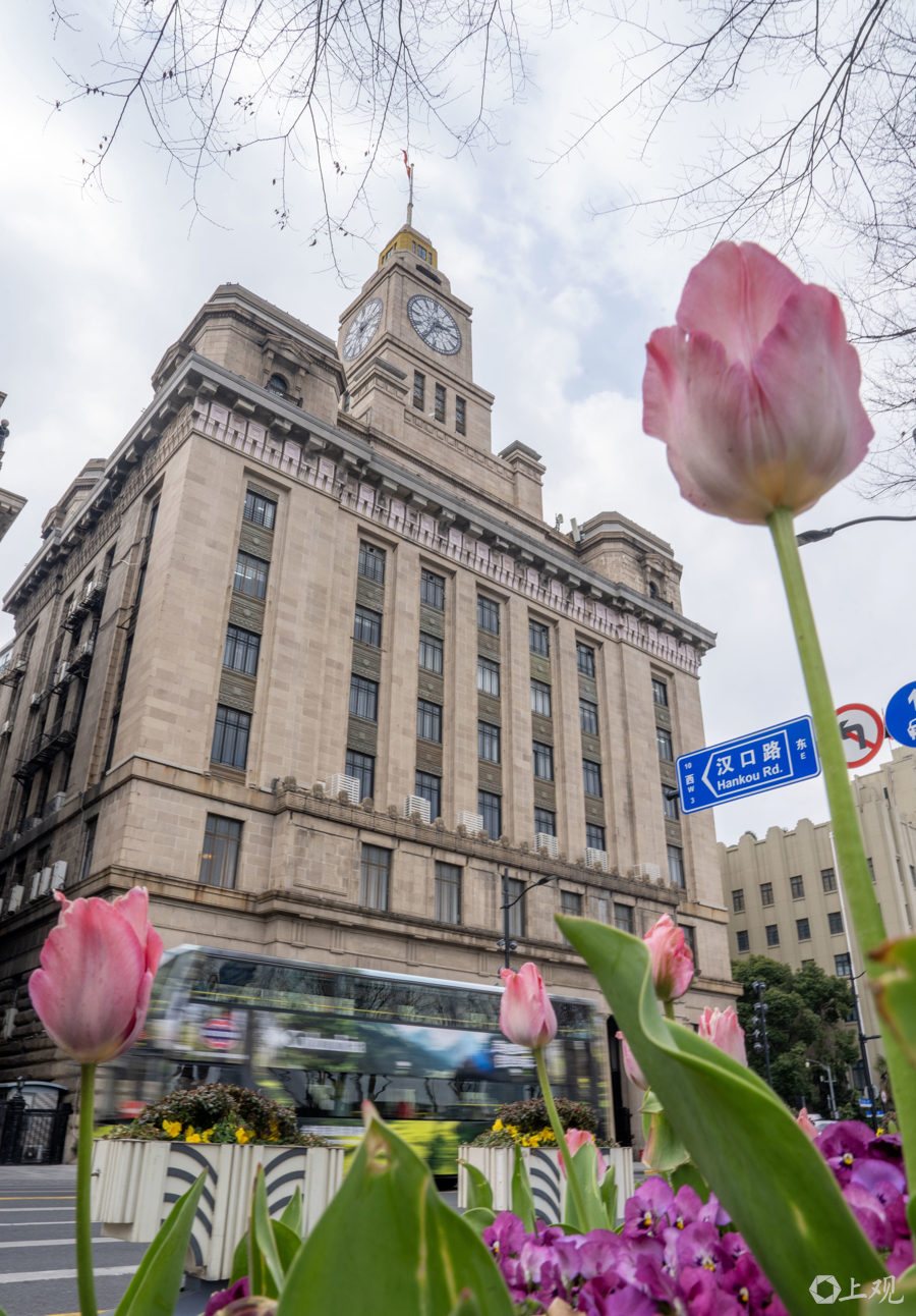 解放日报 孟雨涵 摄20250311_66