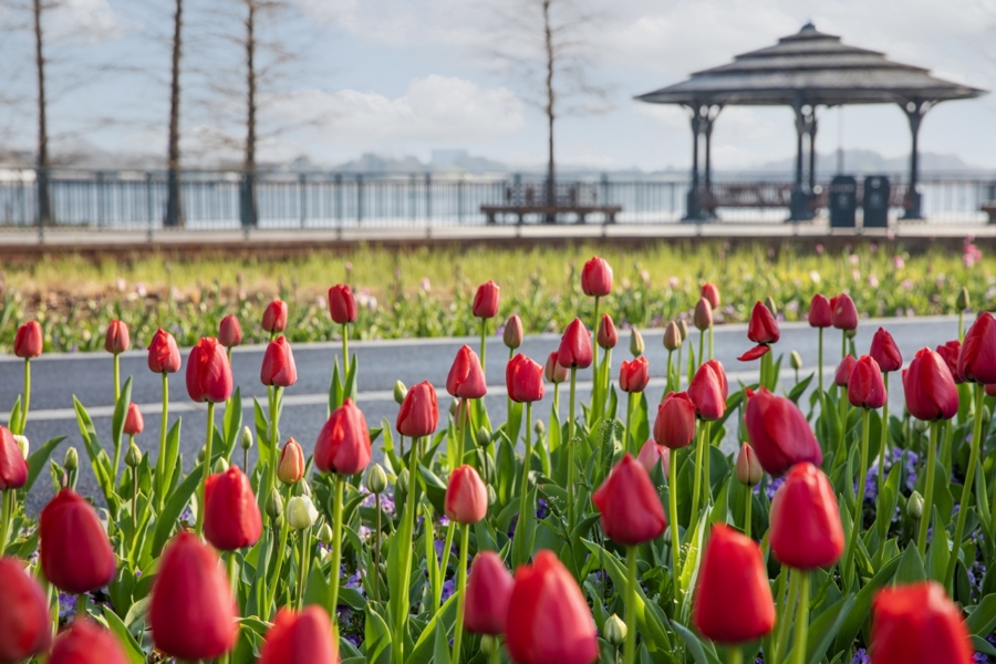 0979b1061a52747335b7576af716821e