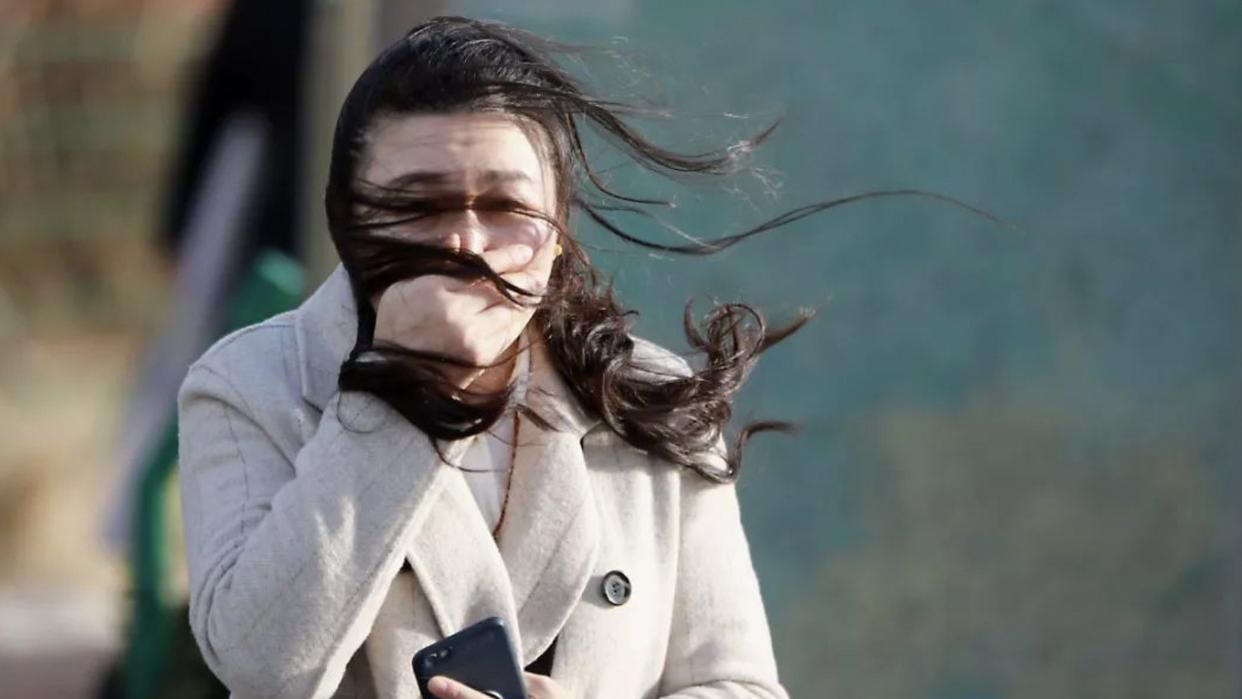 三问北京极端大风天气：风力到底有多大？要刮多久？如何防范？