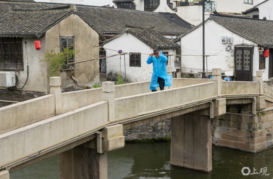 解放日报 孟雨涵 摄20250412_3