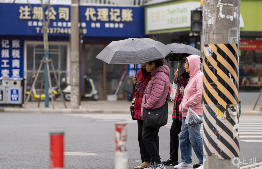解放日报 孟雨涵 摄20250412_17