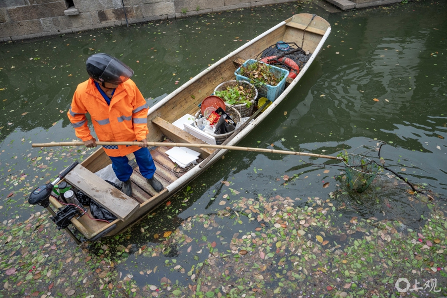 解放日报 孟雨涵 摄20250412_14