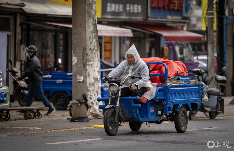 解放日报 孟雨涵 摄20250412_23