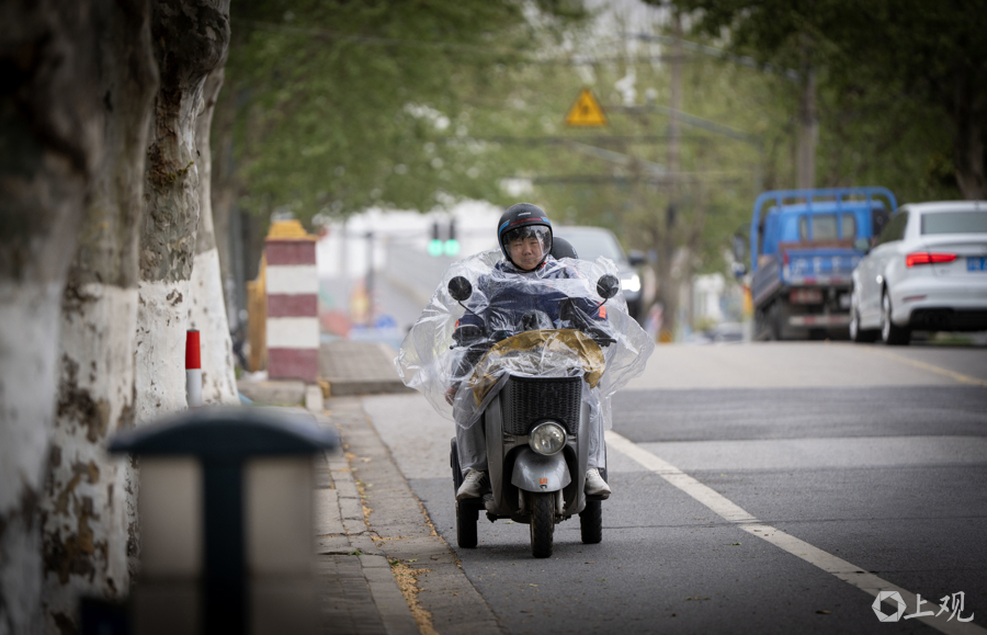 解放日报 孟雨涵 摄20250412_22