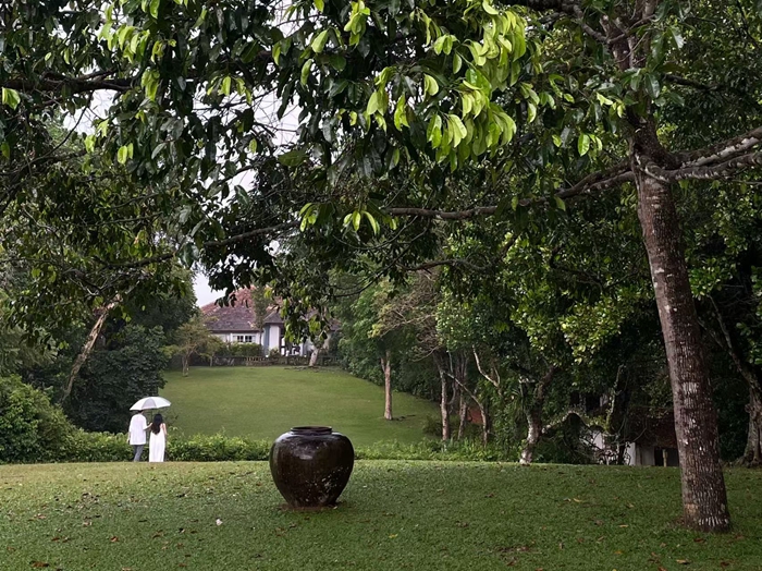 雨中漫步的访客。随着建筑与艺术主题旅行的兴起，越来越多中国游客到访卢努甘卡庄园