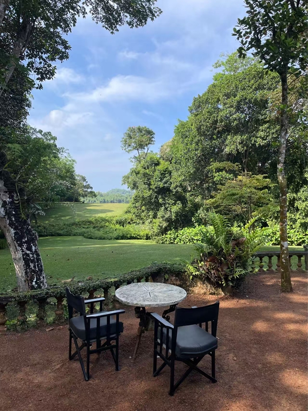 主屋前的肉桂山被巴瓦削平，视线可达湖对岸