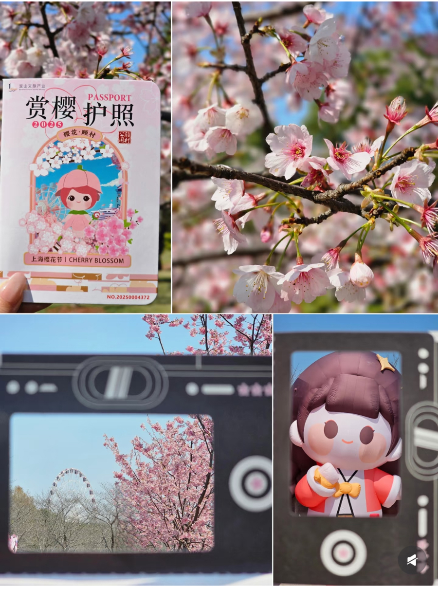 网友晒出的赏樱护照。