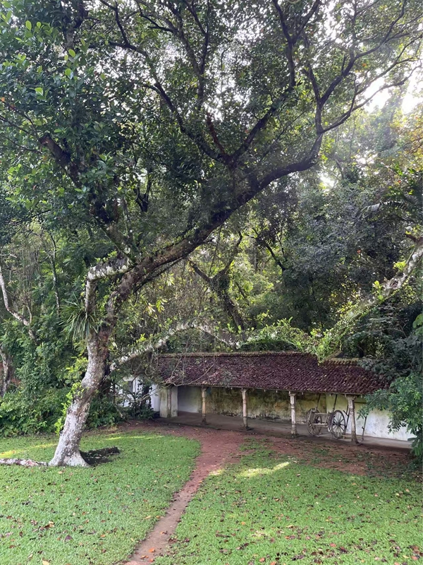 卢努甘卡的主角是绿色植物，建筑和艺术作品点缀其间，体现出悠远意蕴。图中的叹息桥凉廊内绘有精美壁画