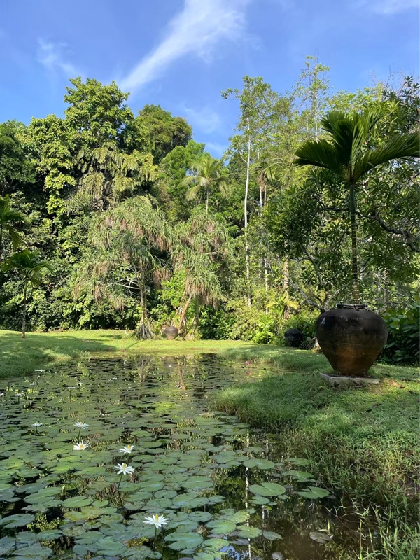 僻静的“有罐子的地方”，池塘里莲花盛开，陶罐为景观增添了人文之趣