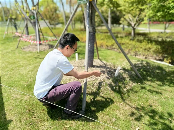 WDCM上传图片 WDCM上传图片