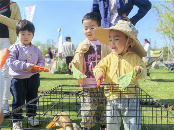 WDCM上传图片 WDCM上传图片