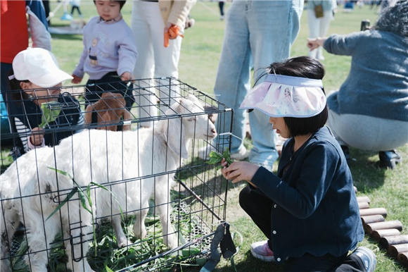 WDCM上传图片 WDCM上传图片