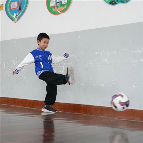 WDCM上传图片 WDCM上传图片