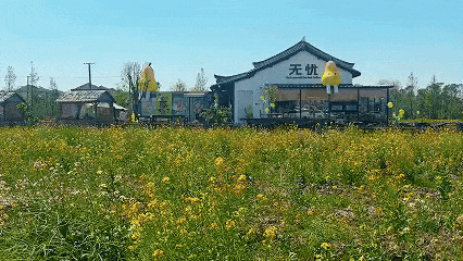 4月17日(1).gif