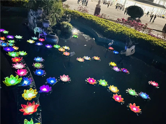 WDCM上传图片 WDCM上传图片