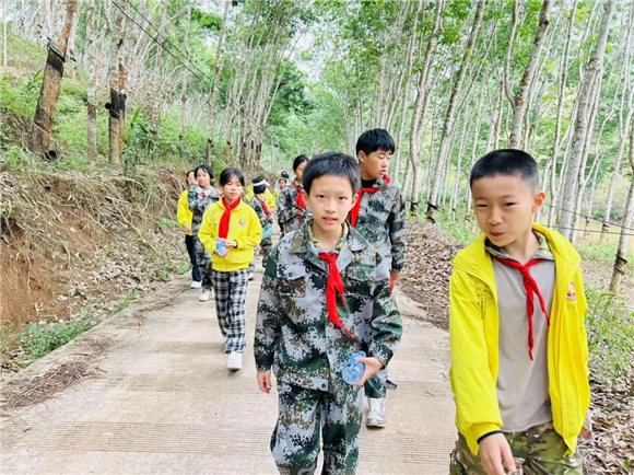 WDCM上传图片 WDCM上传图片