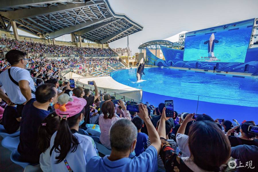 解放日报 孟雨涵 摄20250419_6