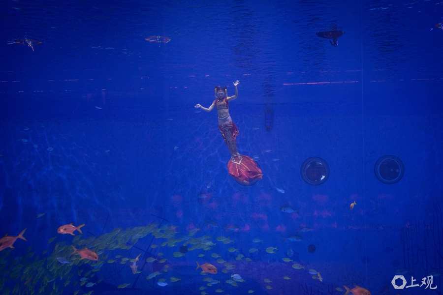 解放日报 孟雨涵 摄20250419_10