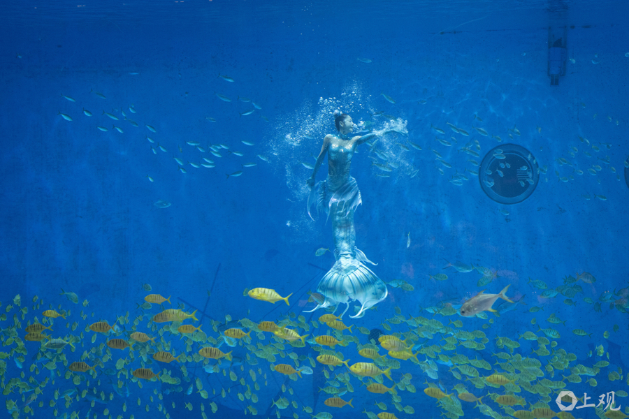 解放日报 孟雨涵 摄20250419_25