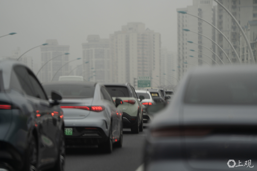 解放日报 孟雨涵 摄20250422_1