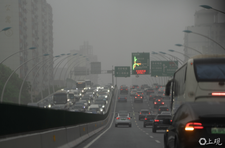 解放日报 孟雨涵 摄20250422_11