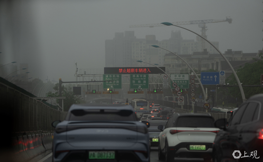 解放日报 孟雨涵 摄20250422_15