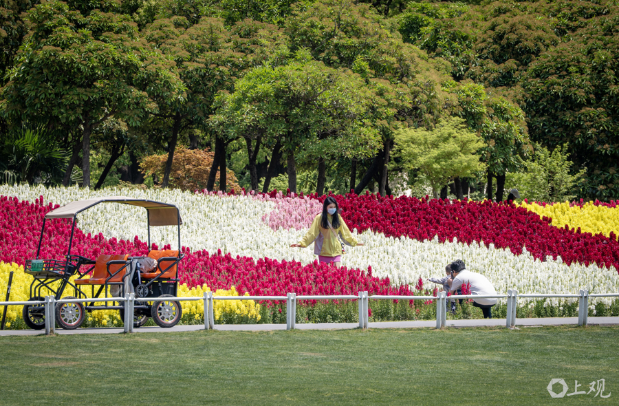 解放日报 孟雨涵 摄20250428_63