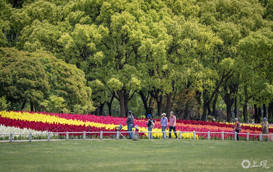 解放日报 孟雨涵 摄20250428_65
