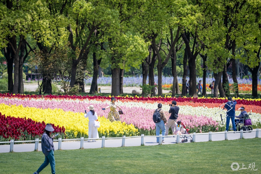 解放日报 孟雨涵 摄20250428_70