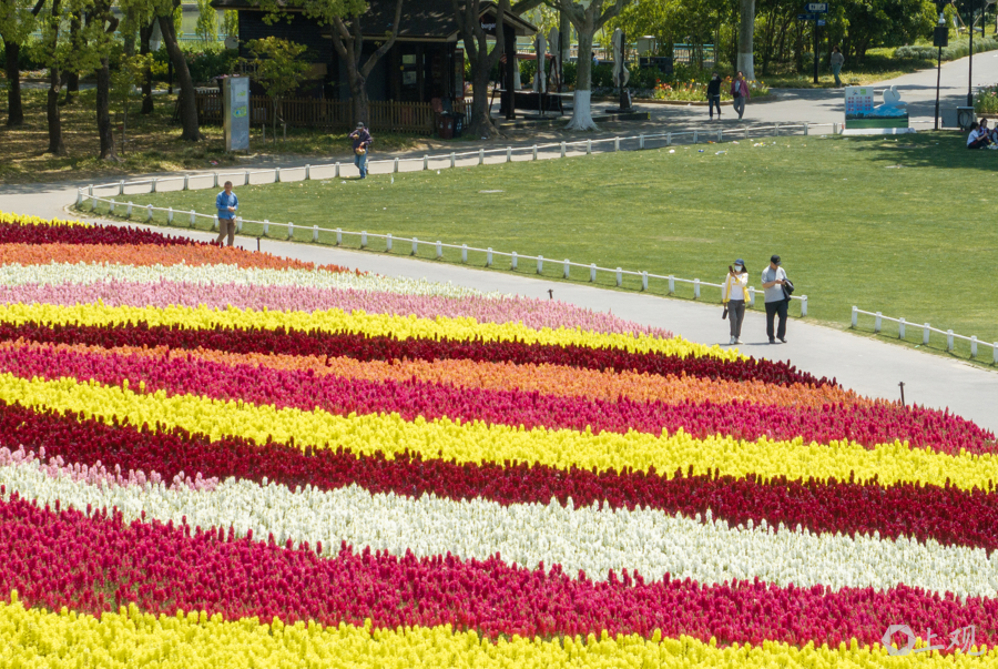 解放日报 孟雨涵 摄20250428_85