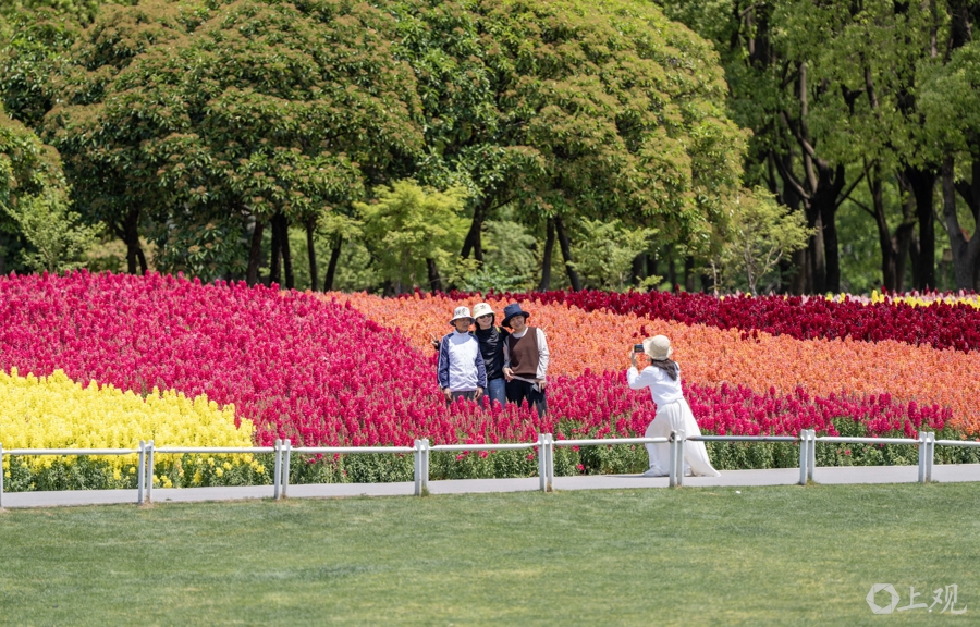 解放日报 孟雨涵 摄20250428_74