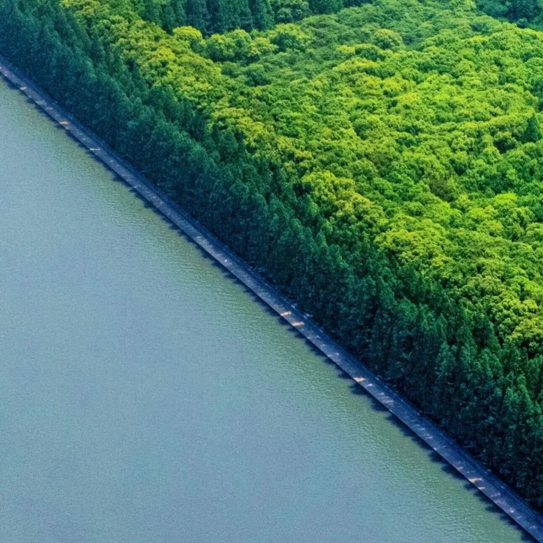 青浦：太浦河畔，“生态氧吧”春色美~