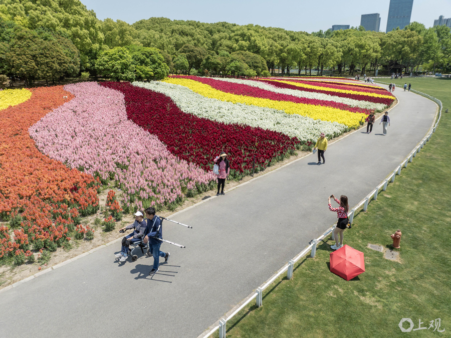 解放日报 孟雨涵 摄20250428_77