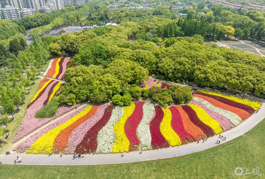 解放日报 孟雨涵 摄20250428_17