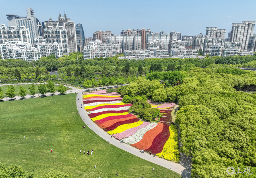 解放日报 孟雨涵 摄20250428_9