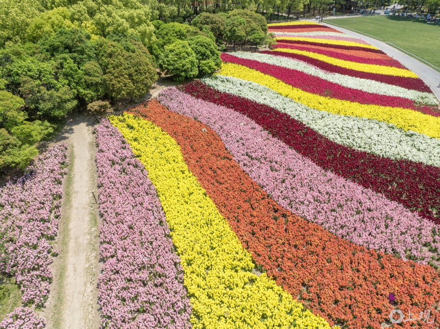 解放日报 孟雨涵 摄20250428_81
