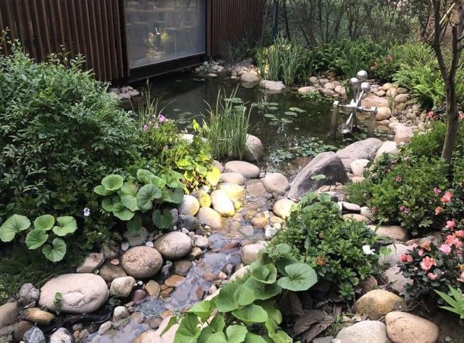 长宁生境花园湿地