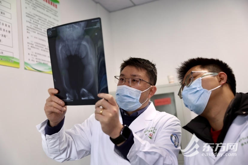 上海市儿童医院骨科副主任医师董良超和主治医师柯呈辉查看患儿X光片