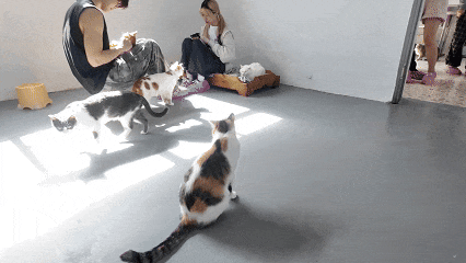 4月27日(17).gif