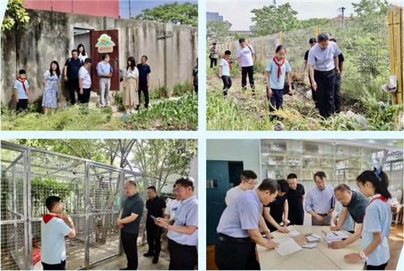 WDCM上传图片 WDCM上传图片