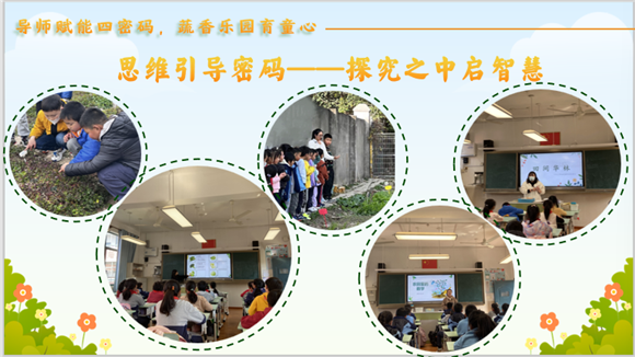 WDCM上传图片 WDCM上传图片