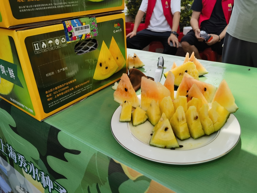 显示了“西瓜世界中的爱马仕”！ 29基础与金牌