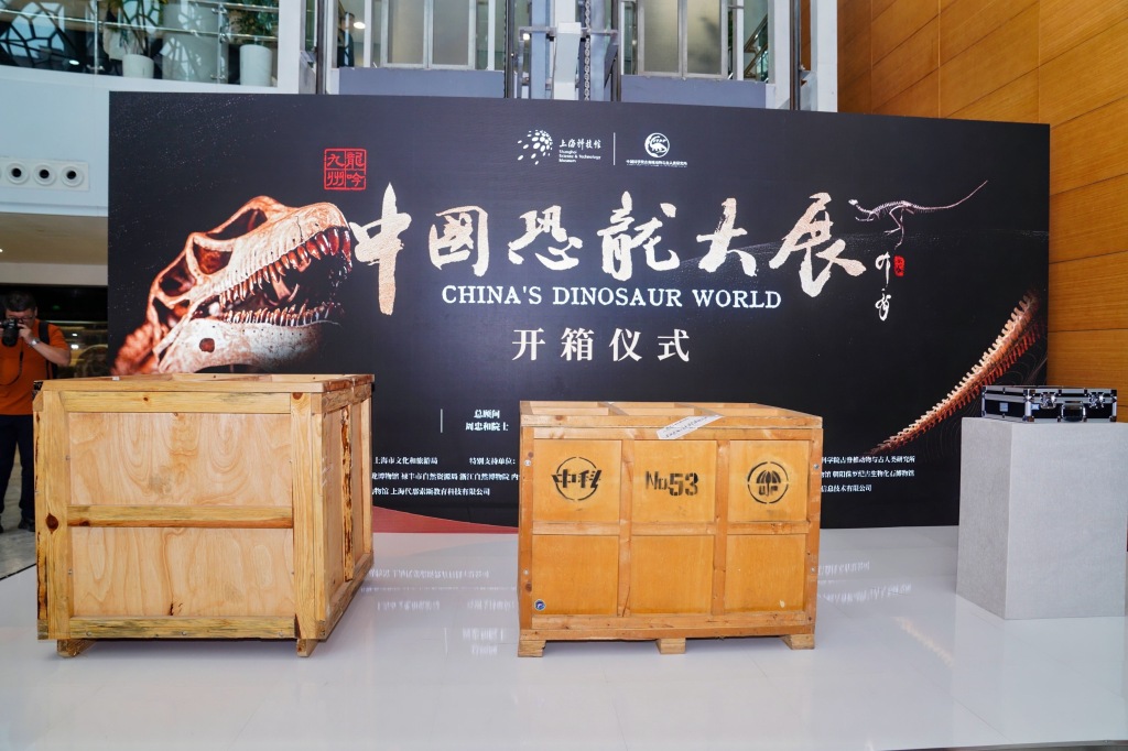 三个重要的标本没有拆箱！中国恐龙展览于5月