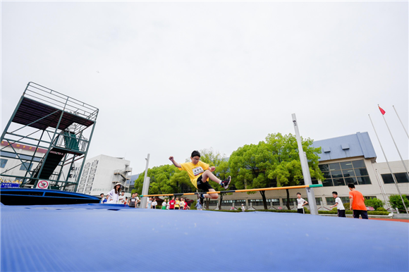 WDCM上传图片 WDCM上传图片