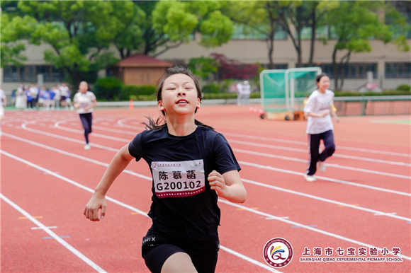 WDCM上传图片 WDCM上传图片