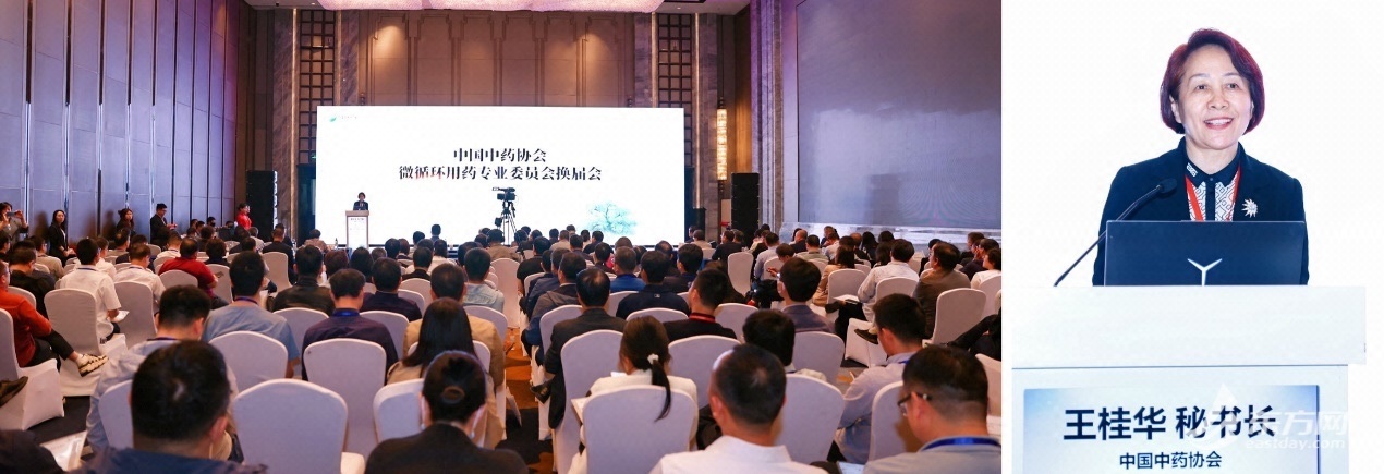 上海的专家主持了中国中药协会微循环特别委员